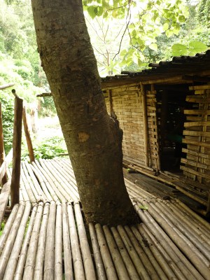 Bamboo camp site photo