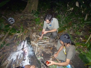 Cooking what we find in the jungle photo