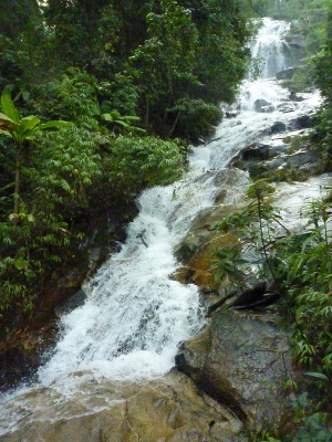 Hidden waterfall photo