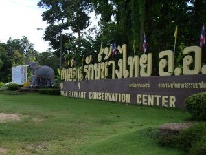 Entrance to Thai Elephant Conservation Center photo