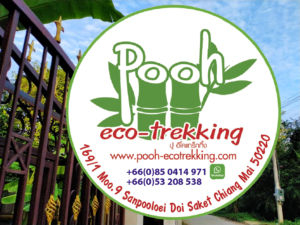 New Office-pooh-ecotrekking-6